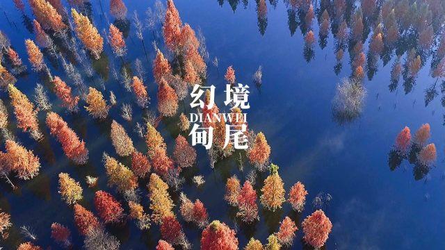 虫虫助手下载
